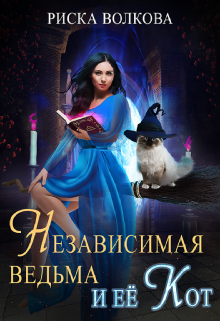 Постер книги Независимая ведьма и ее кот