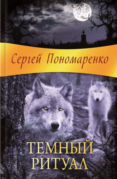 Постер книги Темный ритуал