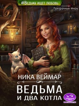 Постер книги Ведьма и два котла (СИ)