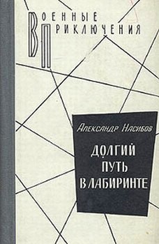 Постер книги Долгий путь в лабиринте