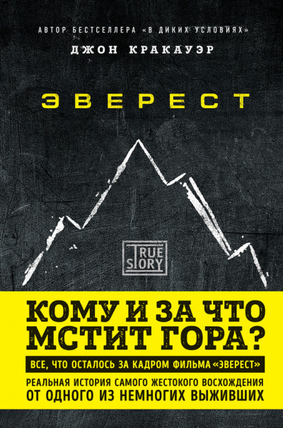 Постер книги Эверест. Кому и за что мстит гора?