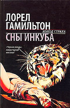 Постер книги Сны инкуба