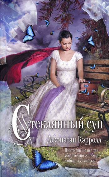 Постер книги Стеклянный суп