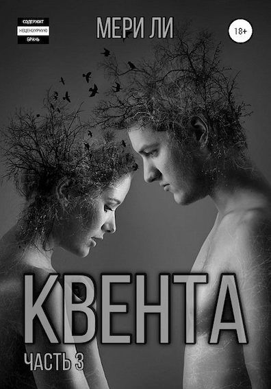 Постер книги Квента. Финал