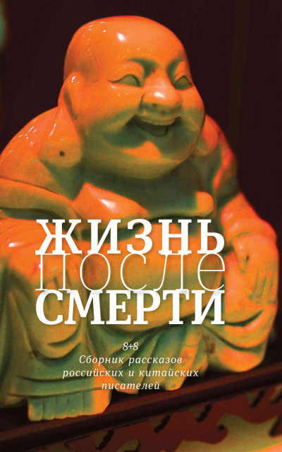 Постер книги Жизнь после смерти. 8 + 8