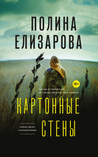 Постер книги Картонные стены