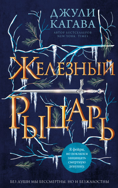 Постер книги Железный рыцарь