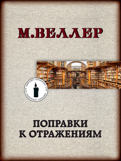 Постер книги Поправки к отражениям