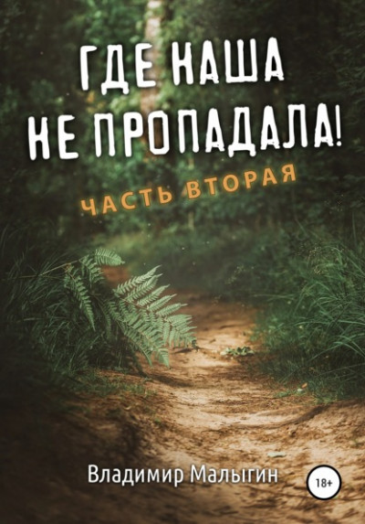 Постер книги Где наша не пропадала 2