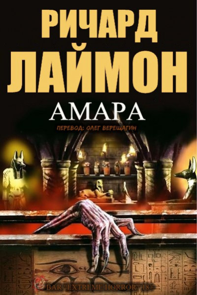 Постер книги Амара