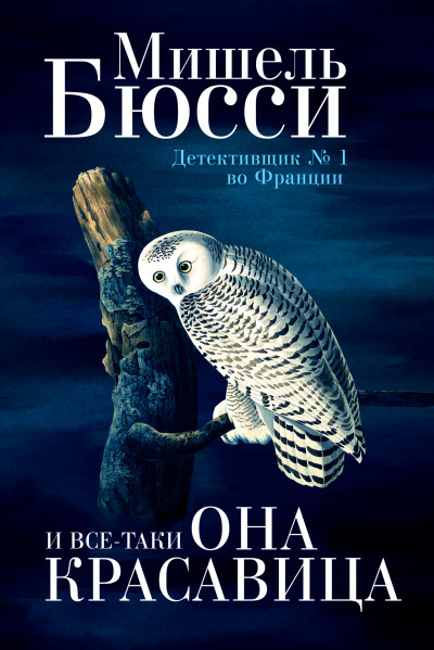 Постер книги И все-таки она красавица