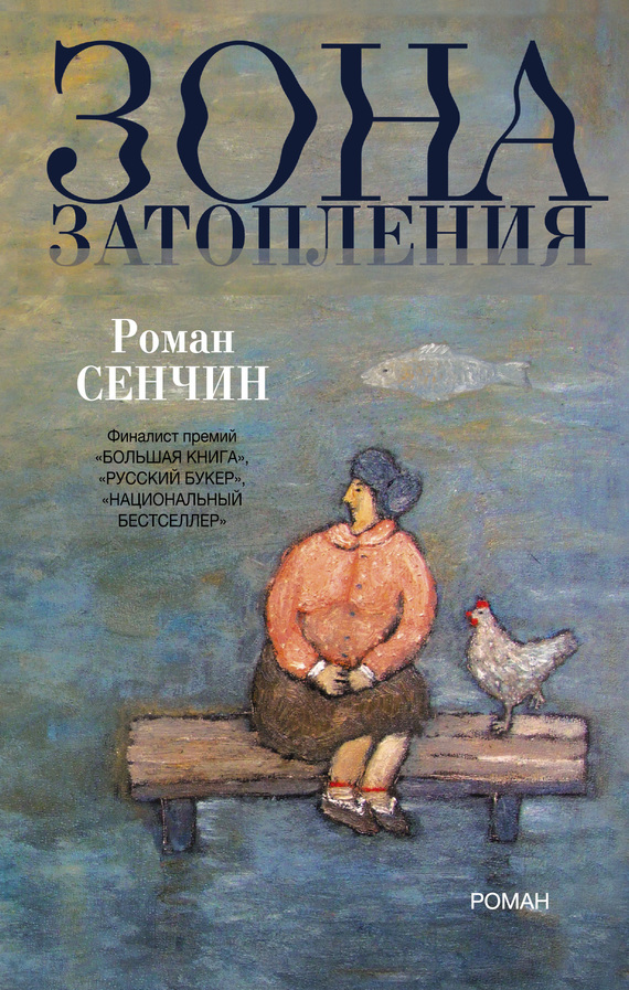 Постер книги Зона затопления