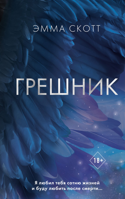 Постер книги Грешник