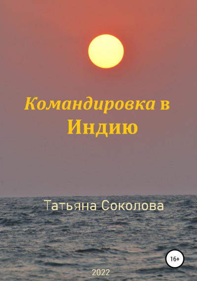 Постер книги Командировка в Индию