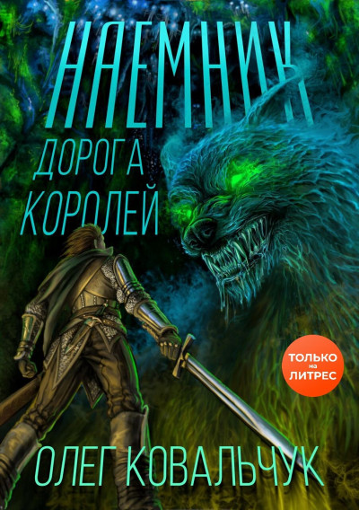 Постер книги Дорога королей. Наемник