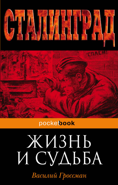 Постер книги Жизнь и судьба