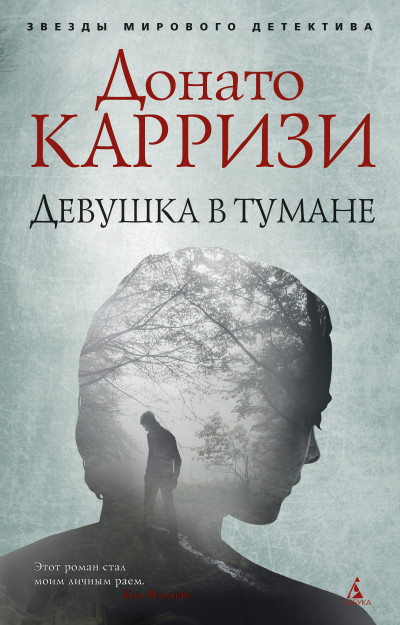 Постер книги Девушка в тумане