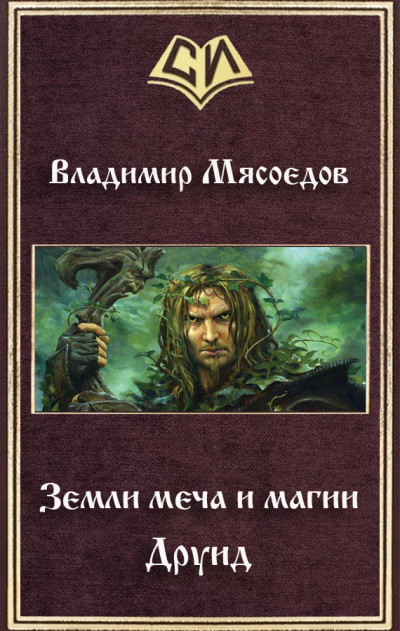 Постер книги Друид