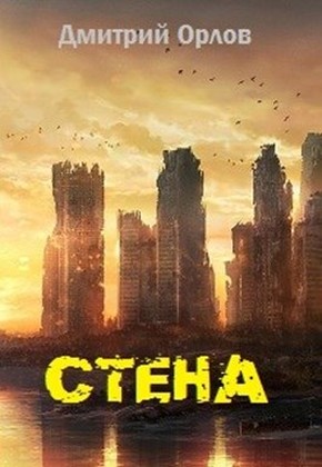 Постер книги Стена