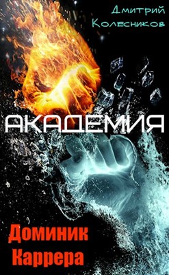 Постер книги Академия