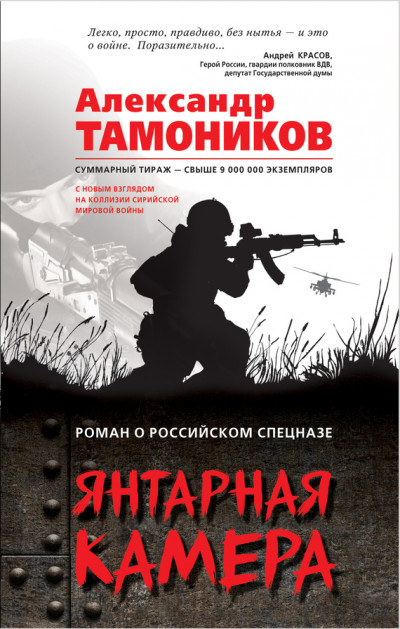 Постер книги Янтарная камера