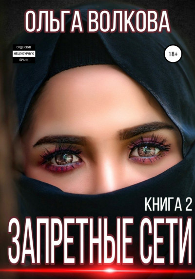 Постер книги Запретные сети