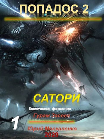 Постер книги Сатори