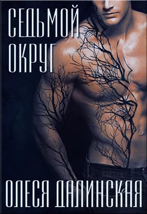 Постер книги Седьмой округ