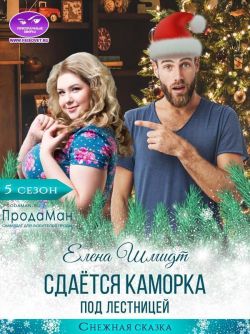 Постер книги Сдаётся каморка под лестницей