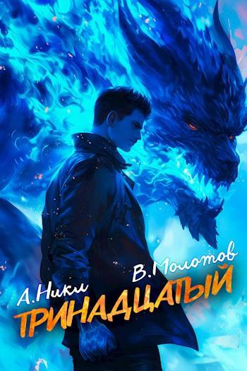 Постер книги Тринадцатый VII