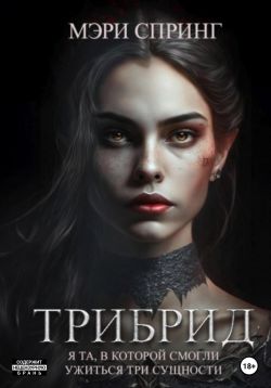 Постер книги Трибрид