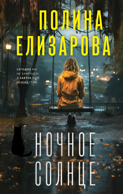 Постер книги Ночное солнце