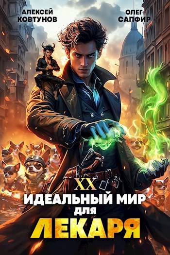 Постер книги Идеальный мир для Лекаря 20