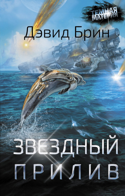 Постер книги Звездный прилив