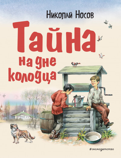 Постер книги Тайна на дне колодца