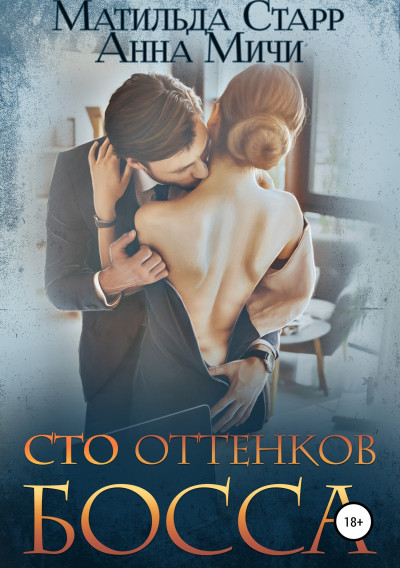 Постер книги Сто оттенков босса