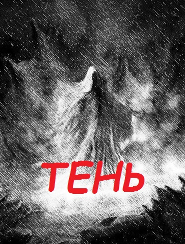 Постер книги Тень