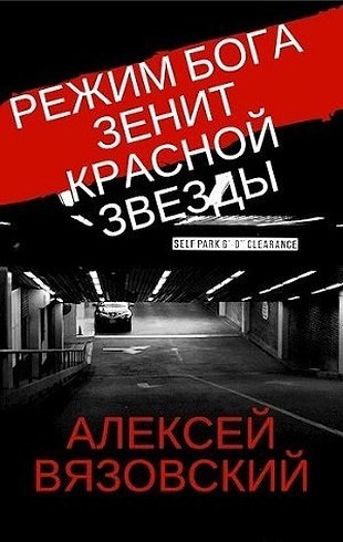 Постер книги Зенит Красной Звезды