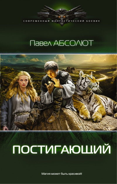 Постер книги Постигающий