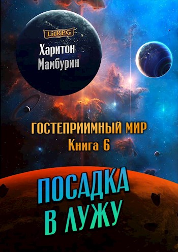 Постер книги Посадка в лужу