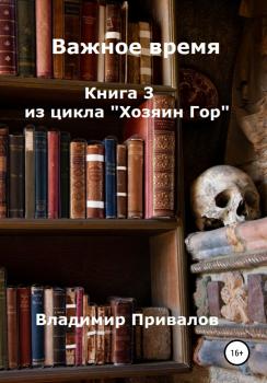 Постер книги Важное время