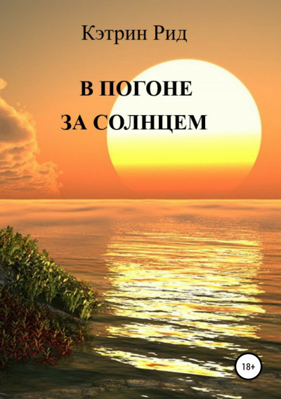 Постер книги В погоне за солнцем
