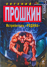 Постер книги Истребитель «Родина»