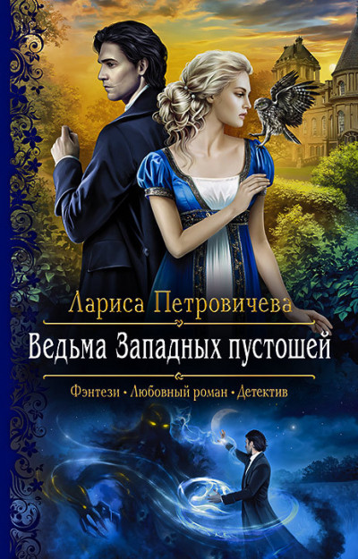 Постер книги Ведьма Западных пустошей