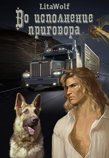 Постер книги Во исполнение приговора