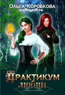 Постер книги Практикум Любви