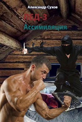 Постер книги Ассимиляция