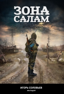 Постер книги Зона Салам