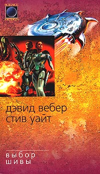 Постер книги Выбор Шивы