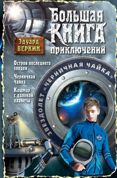 Постер книги Звездолет «Черничная Чайка»